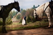 Покататься на лошадях в Ростове,  верховая езда 241-25-28,  279-09-63