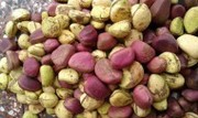 орехи кола продам Москва и регионы какао бобы похудение энергетик 