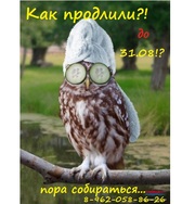 Акция продлена! Торопись!