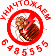 укусы клопов,  клопы фото ,  укусы клопов фото,  