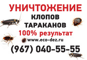 Уничтожение клопов и других насекомых.
