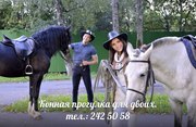 Прогулка на лошадях!