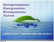 Очистка сточных вод микроорганизмами
