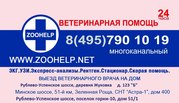 Ветеринарная клиника Zoohelp!
