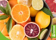 Антицеллюлитный продукт   Кочубеевское Невинномысск